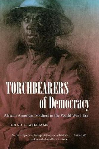 Cover image for Torchbearers of Democracy: African American Soldiers in the World War I Era