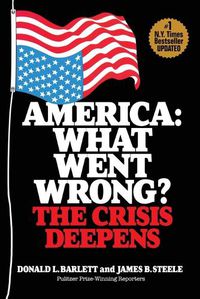 Cover image for America: What Went Wrong? The Crisis Deepens