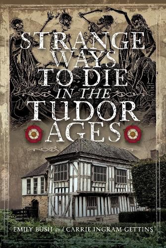 Cover image for Strange Ways To Die in the Tudor Ages