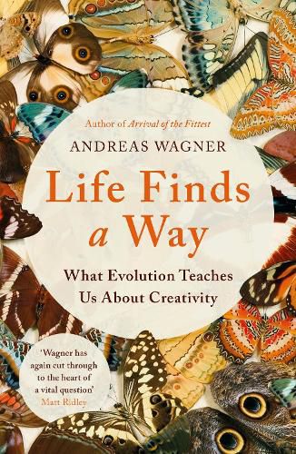 Cover image for Life Finds a Way: What Evolution Teaches Us About Creativity