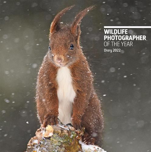 Cover image for Wildlife Photographer of the Year Pocket Diary 2022