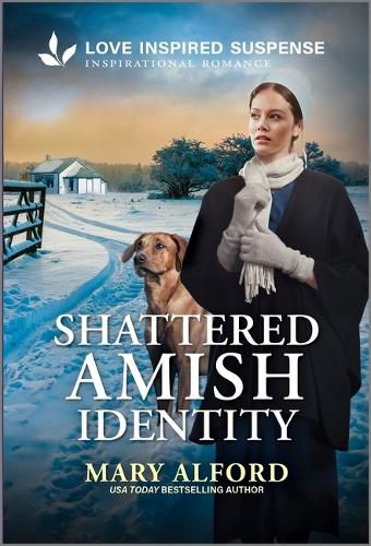 Cover image for Shattered Amish Identity