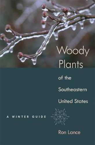 Cover image for Woody Plants of the Southeastern United States: A Winter Guide