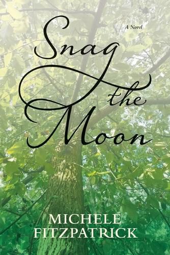 Cover image for Snag the Moon