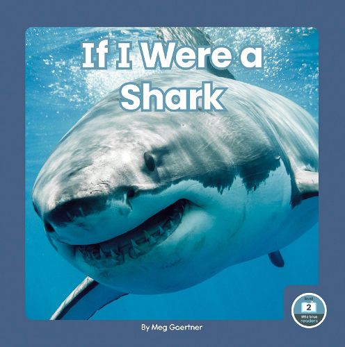 Cover image for If I Were a Shark