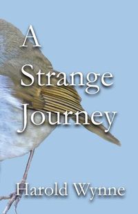 Cover image for A Strange Journey