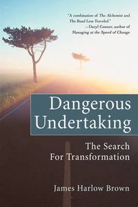 Cover image for Dangerous Undertaking: The Search for Transformation