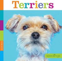 Cover image for Terriers