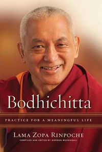 Cover image for Bodhichitta: Practice for a Meaningful Life