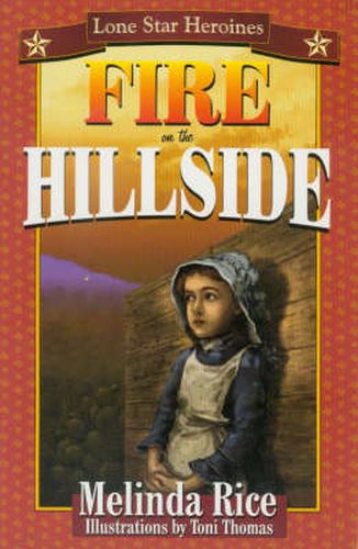 Cover image for Fire on the Hillside