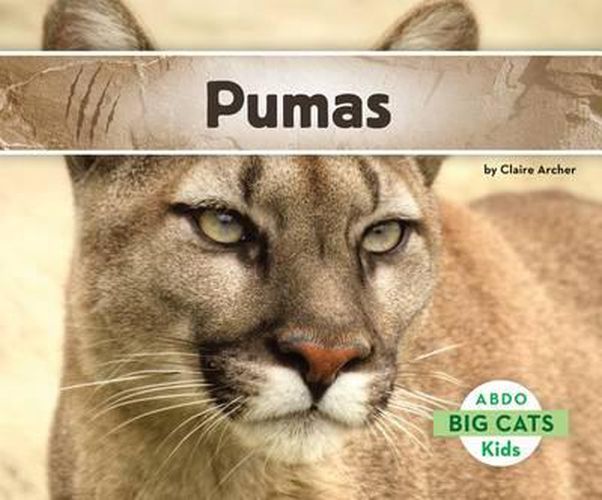 Cover image for Pumas