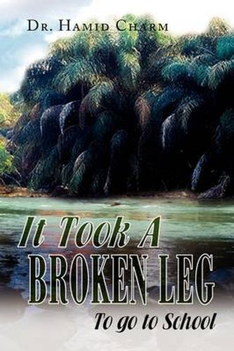 Cover image for It Took A Broken Leg