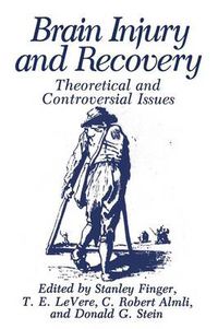Cover image for Brain Injury and Recovery: Theoretical and Controversial Issues