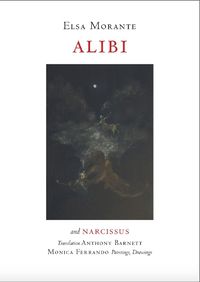 Cover image for Alibi