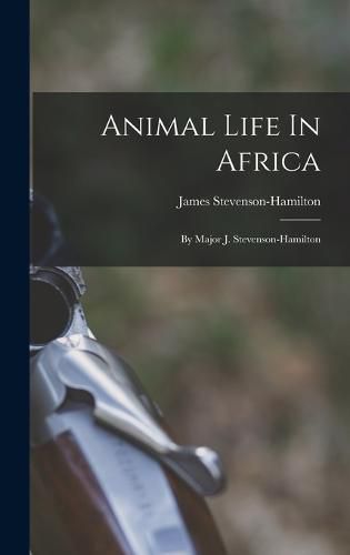 Animal Life In Africa