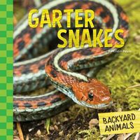 Cover image for Garter Snakes