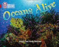 Cover image for Oceans Alive: Band 14/Ruby