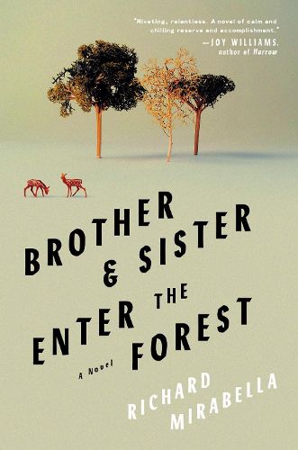 Cover image for Brother & Sister Enter the Forest