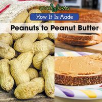Cover image for Peanuts to Peanut Butter