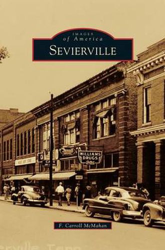 Cover image for Sevierville