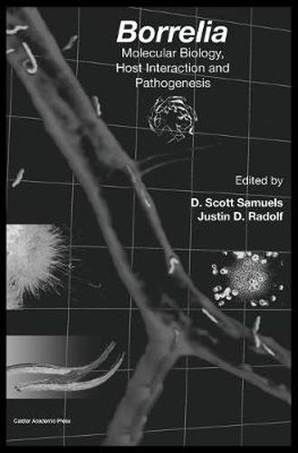 Cover image for Borrelia: Molecular Biology, Host Interaction and Pathogenesis