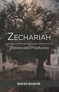 Cover image for Zechariah: Visions and Prophets