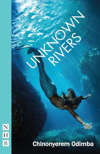 Cover image for Unknown Rivers