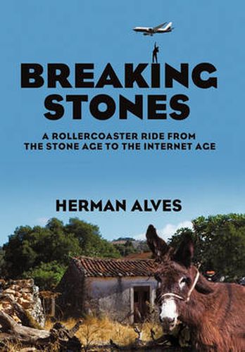 Cover image for Breaking Stones