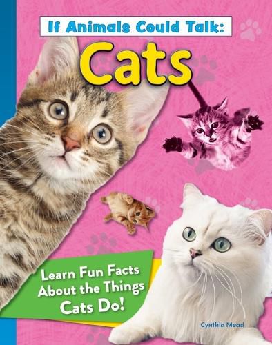 Cover image for If Animals Could Talk: Cats