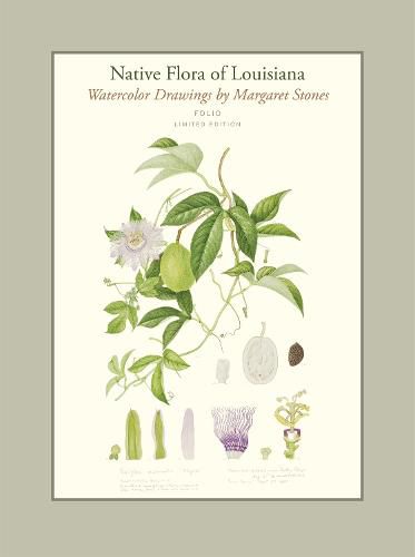 Cover image for Native Flora of Louisiana