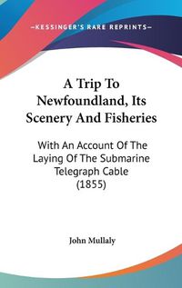 Cover image for A Trip To Newfoundland, Its Scenery And Fisheries: With An Account Of The Laying Of The Submarine Telegraph Cable (1855)