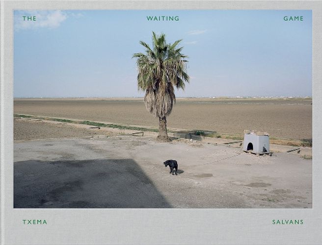 Cover image for Txema Salvans: The Waiting Game III