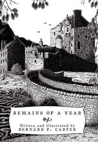 Cover image for Remains of a Year