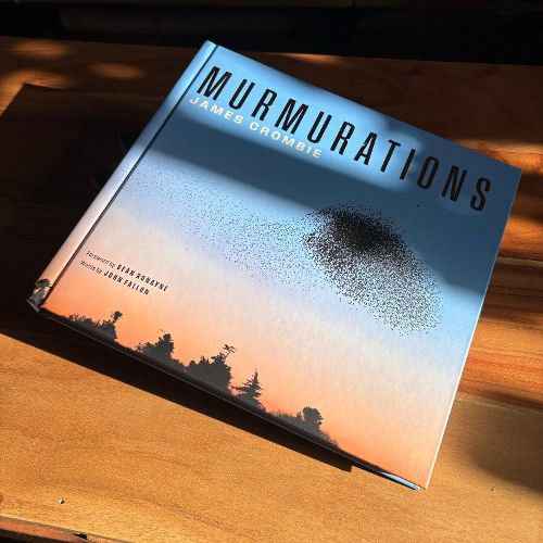 Cover image for Murmurations