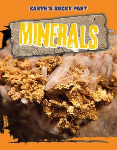 Cover image for Minerals