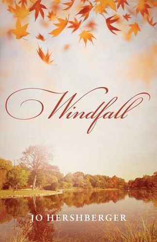 Cover image for Windfall