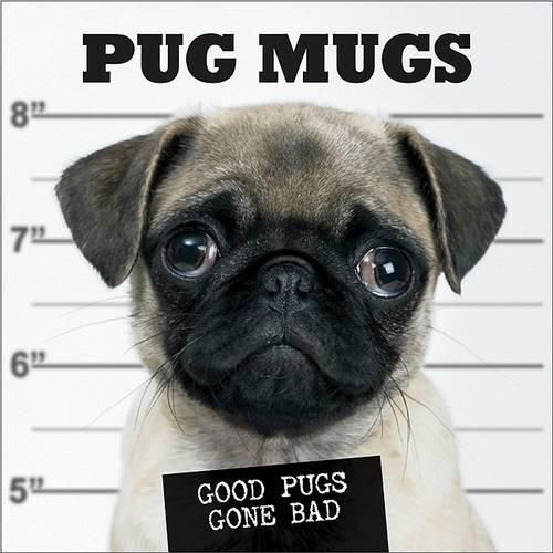 Cover image for Pug Mugs