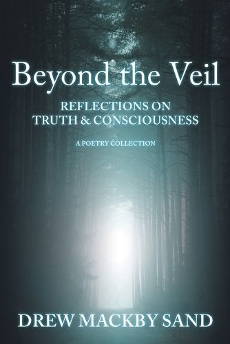 Cover image for Beyond the Veil