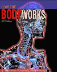 Cover image for How the Body Works