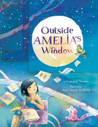 Cover image for Outside Amelia's Window