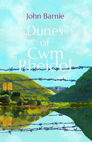 Cover image for Dunes of Cwm Rheidol