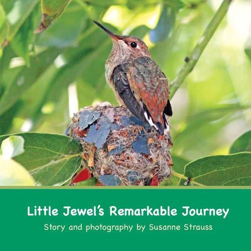 Cover image for Little Jewel's Remarkable Journey