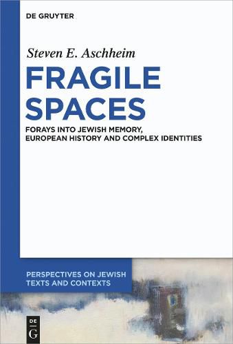 Cover image for Fragile Spaces: Forays into Jewish Memory, European History and Complex Identities