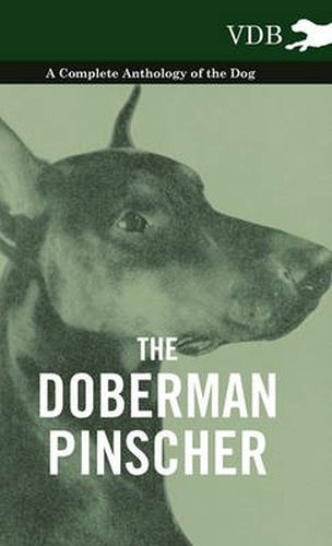 Cover image for The Doberman Pinscher - A Complete Anthology of the Dog -