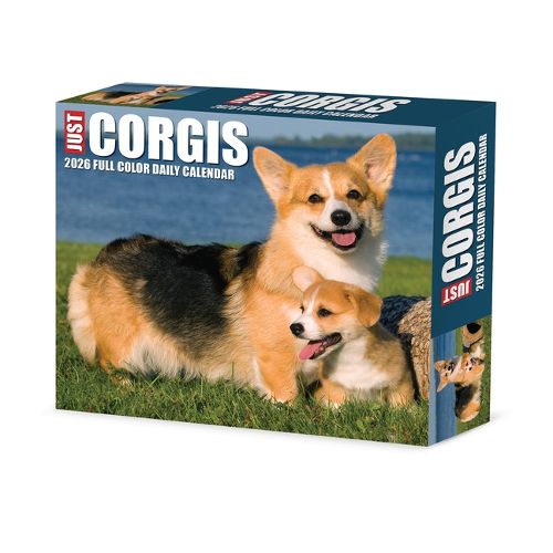 Cover image for Corgis 2026 5.4 X 6.2 Box Calendar