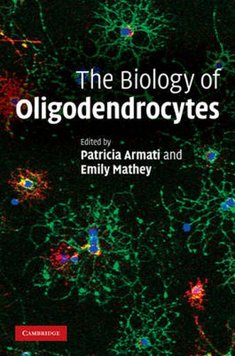 The Biology of Oligodendrocytes