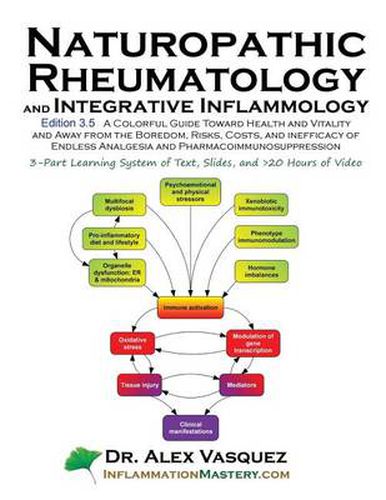 Cover image for Naturopathic Rheumatology and Integrative Inflammology V3.5: A Colorful Guide Toward Health and Vitality and Away from the Boredom, Risks, Costs, and