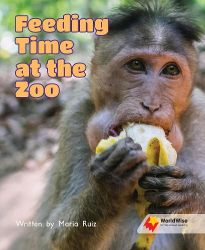 Cover image for Feeding Time at the Zoo