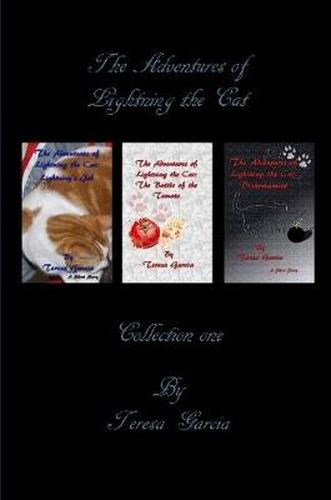 Cover image for The Adventures of Lightning the Cat: Collection One