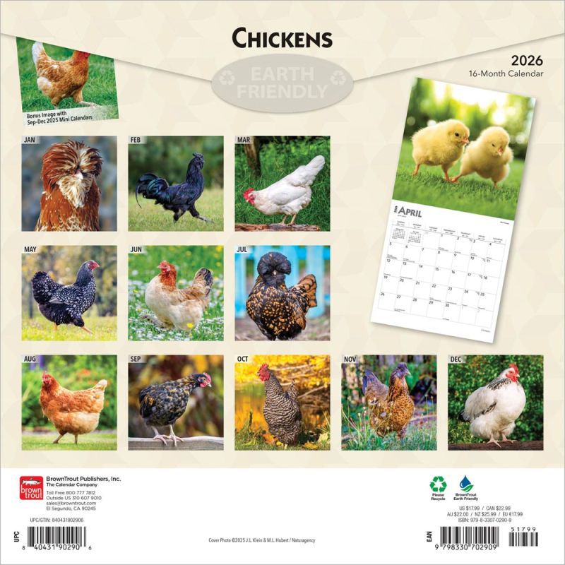 Chickens 2026 Wall Calendar
